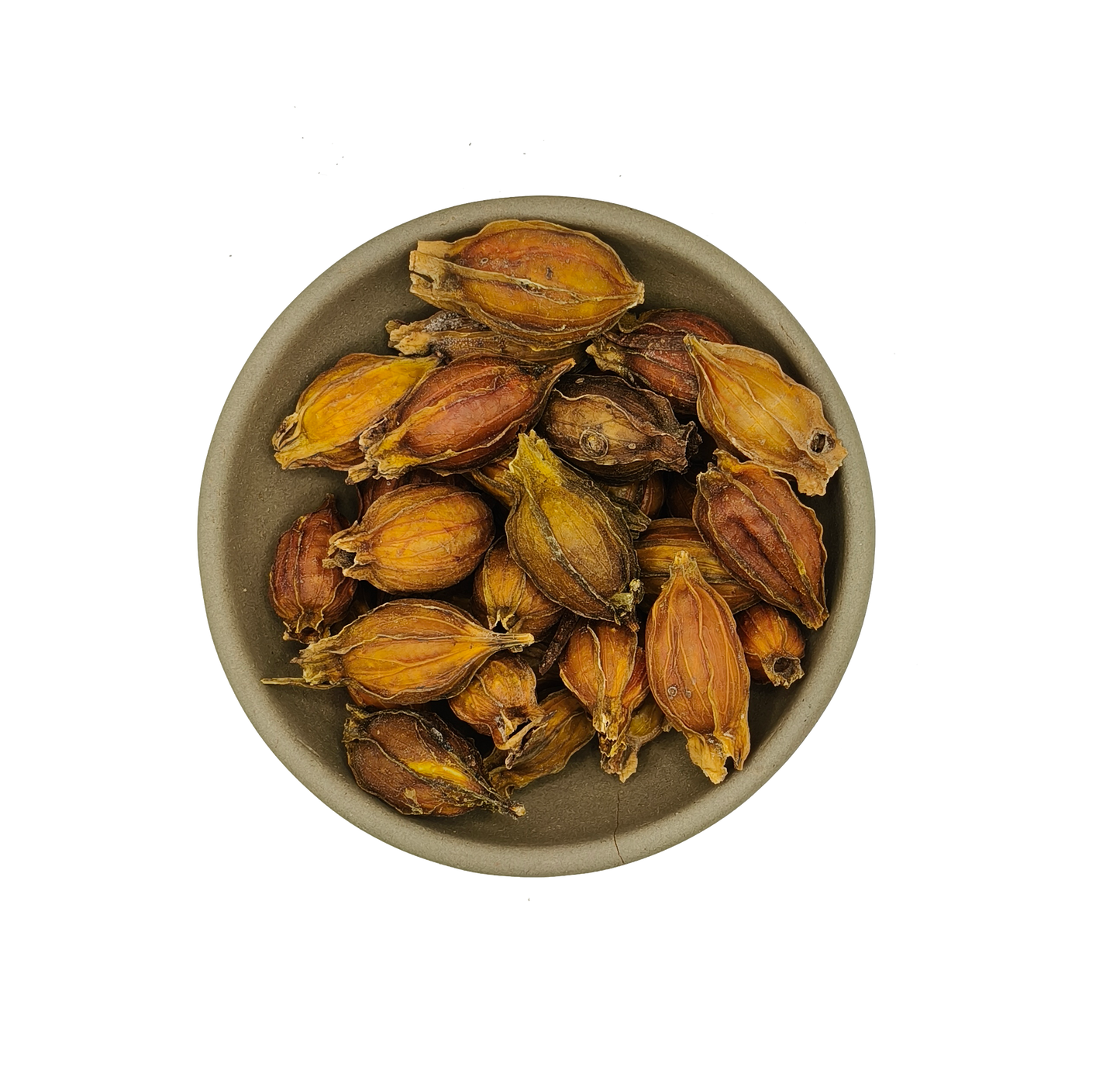 Zhi Zi-Fructus Gardeniae