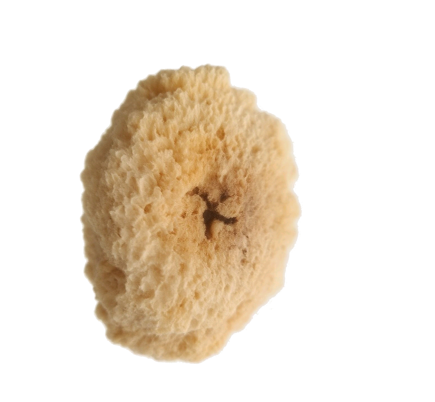 Yin Er White Wood Ear (Tremella Fuciformis)