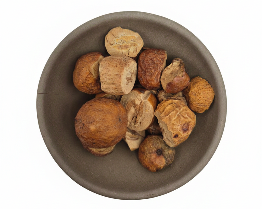 Chuan Lian Zi-Fructus Toosendan-Sichuan Chinaberry Fruit