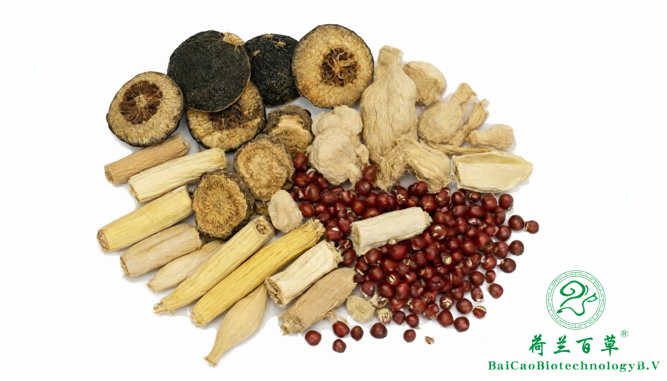 Bai Bu-Radix Stemonae-Stemona Root