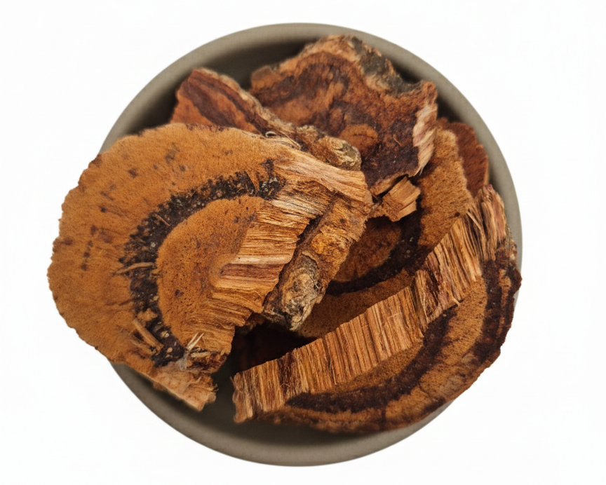 Ji Xue Teng-Caulis Spatholobi-Suberect Spatholobus Stem