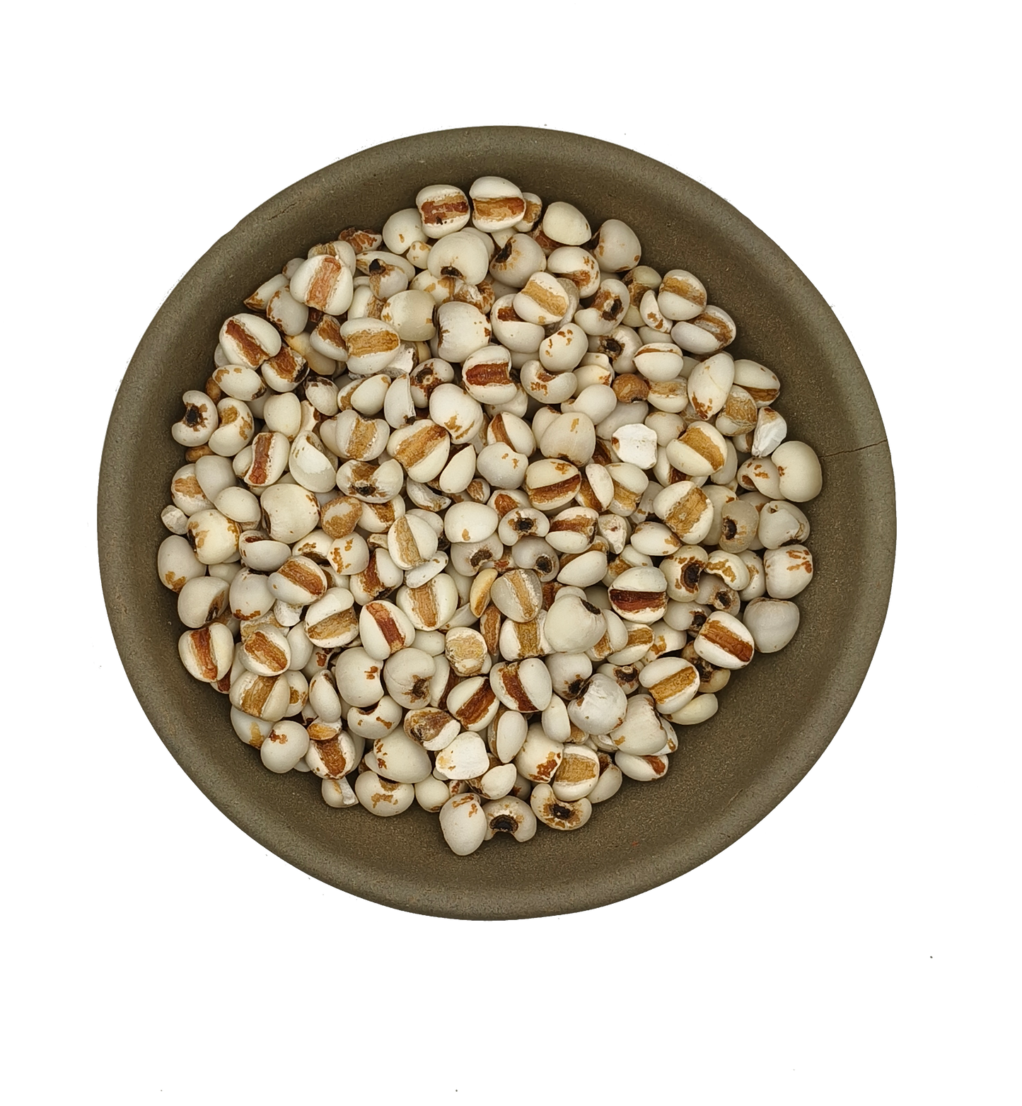 Yi Yi Ren-Semen Coicis Raw