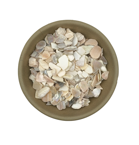 Zhen Zhu Mu-Concha Margaritifera Usta