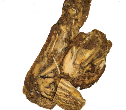 Dang Gui-Radix Angelicae Sinensis