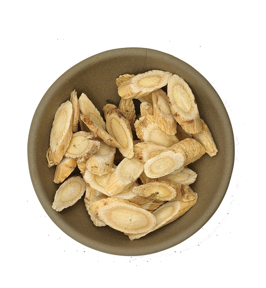 Huang Qi  Astragalus