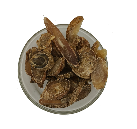 Yu Jin-Radix Curcumae