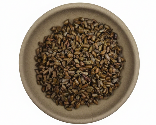 Cao Jue Ming-Semen Cassiae-Cassia Seed