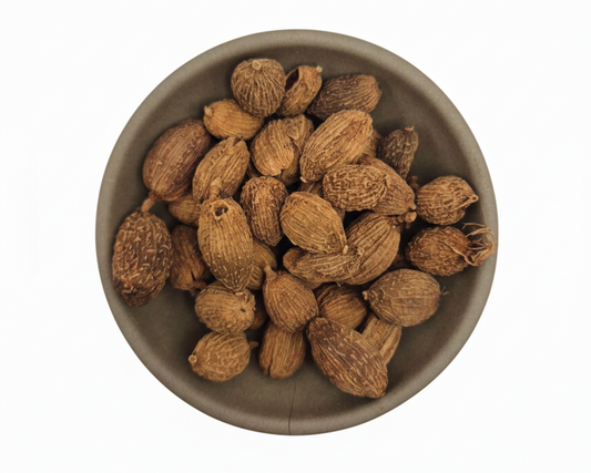 Sha Ren-Fructus Amomi-Villous Amomum Fruit