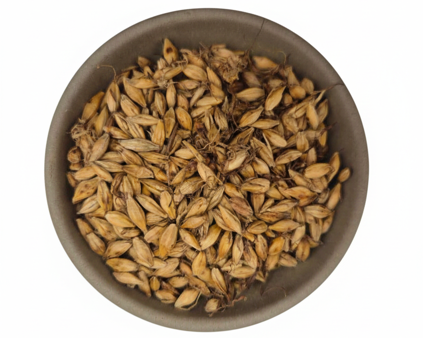 Mai Ya (Chao)-Fructus Hordei Germinatus-Malt (Prepared)