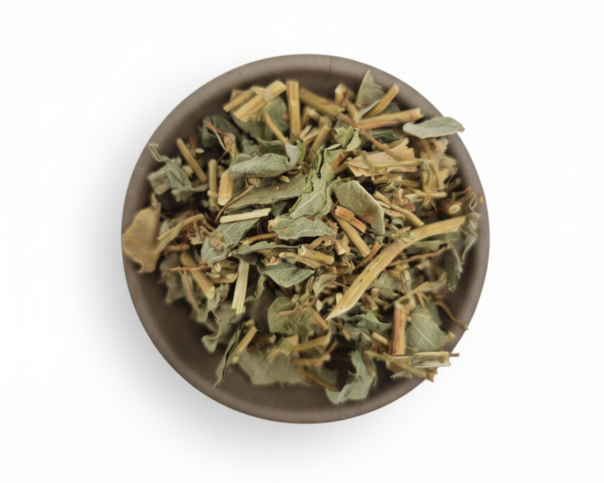 Jin Qian Cao-Herba Lysimachiae-Gold Coin Grass