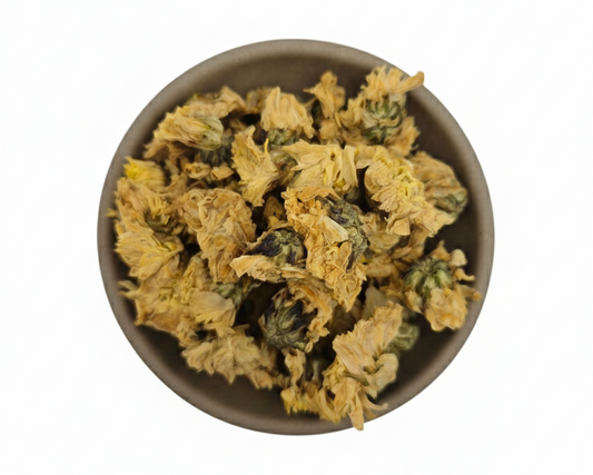 Ju Hua-Flos Chrysanthemi-Florists chrysanthemum flower