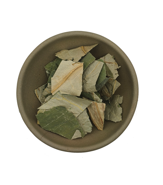 He Ye-Folium Nelumbinis